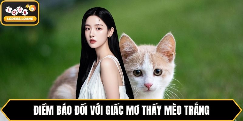 Điềm báo đối với giấc mơ thấy mèo trắng